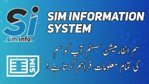 sim info system